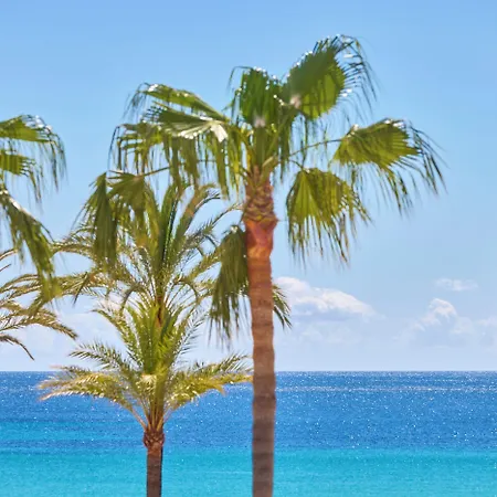 比基尼环球酒店 酒店 4*