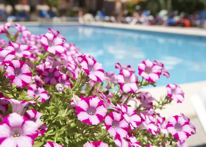 Hotel Universal Bikini 4*