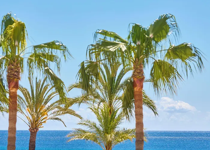 Hotel Universal Bikini