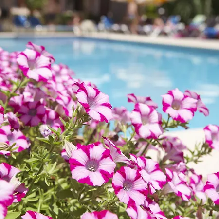 Otel Universal Bikini 4*